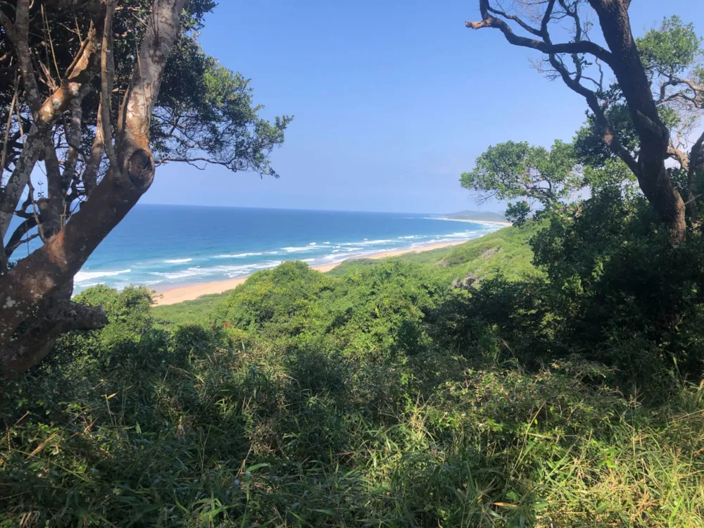 Vacant land for investment in Ponta Mamoli, Mozambique - 3MQ1627762 Vacant land for investment in Ponta Mamoli, Mozambique - 3MQ1627762