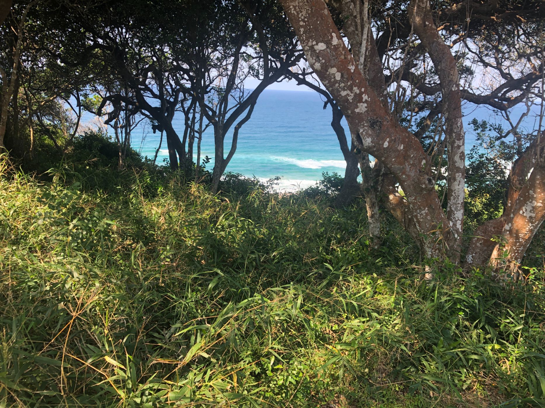 Vacant land for investment in Ponta Mamoli, Mozambique - 3MQ1627762