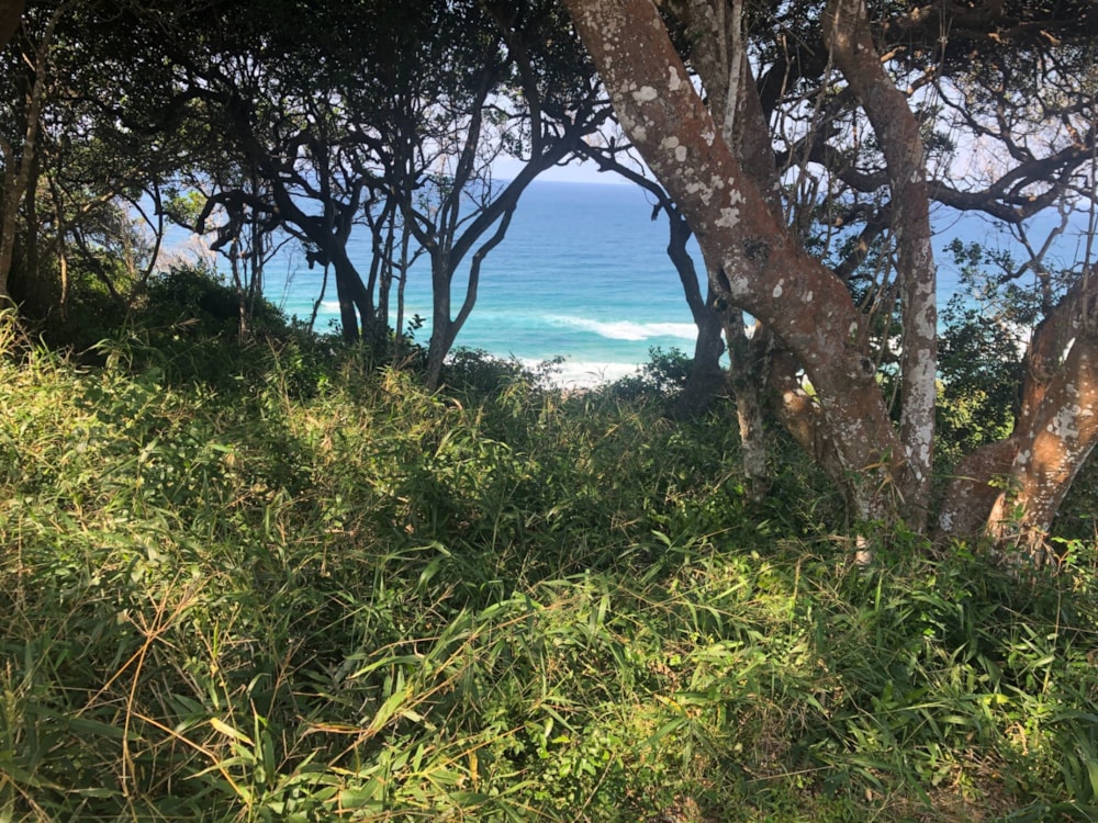 Vacant land for investment in Ponta Mamoli, Mozambique - 3MQ1627762 Vacant land for investment in Ponta Mamoli, Mozambique - 3MQ1627762