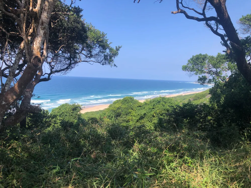 Vacant land for investment in Ponta Mamoli, Mozambique - 3MQ1627762 Vacant land for investment in Ponta Mamoli, Mozambique - 3MQ1627762