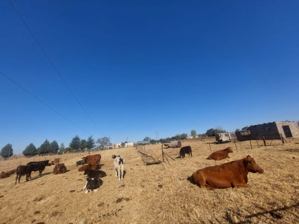 Mixed use farm for sale in Bethlehem - 1BTH1627871