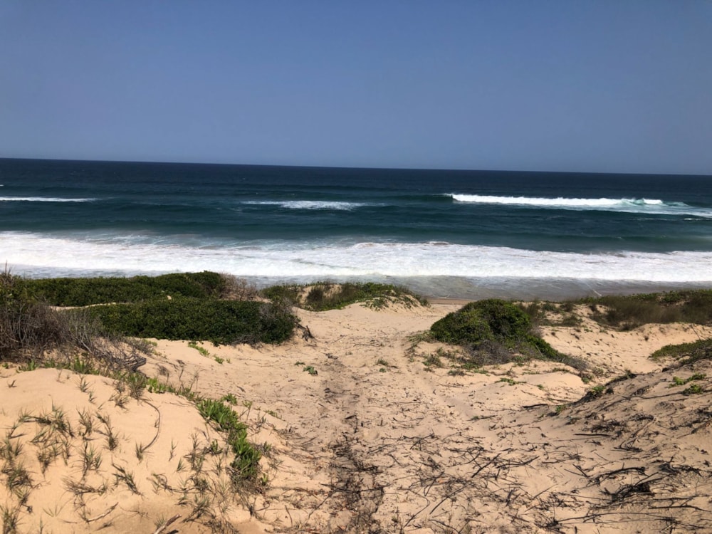 Vacant land for investment in Guinjata, Inhambane, Mozambique - 3MQ1627911 Vacant land for investment in Guinjata, Inhambane, Mozambique - 3MQ1627911