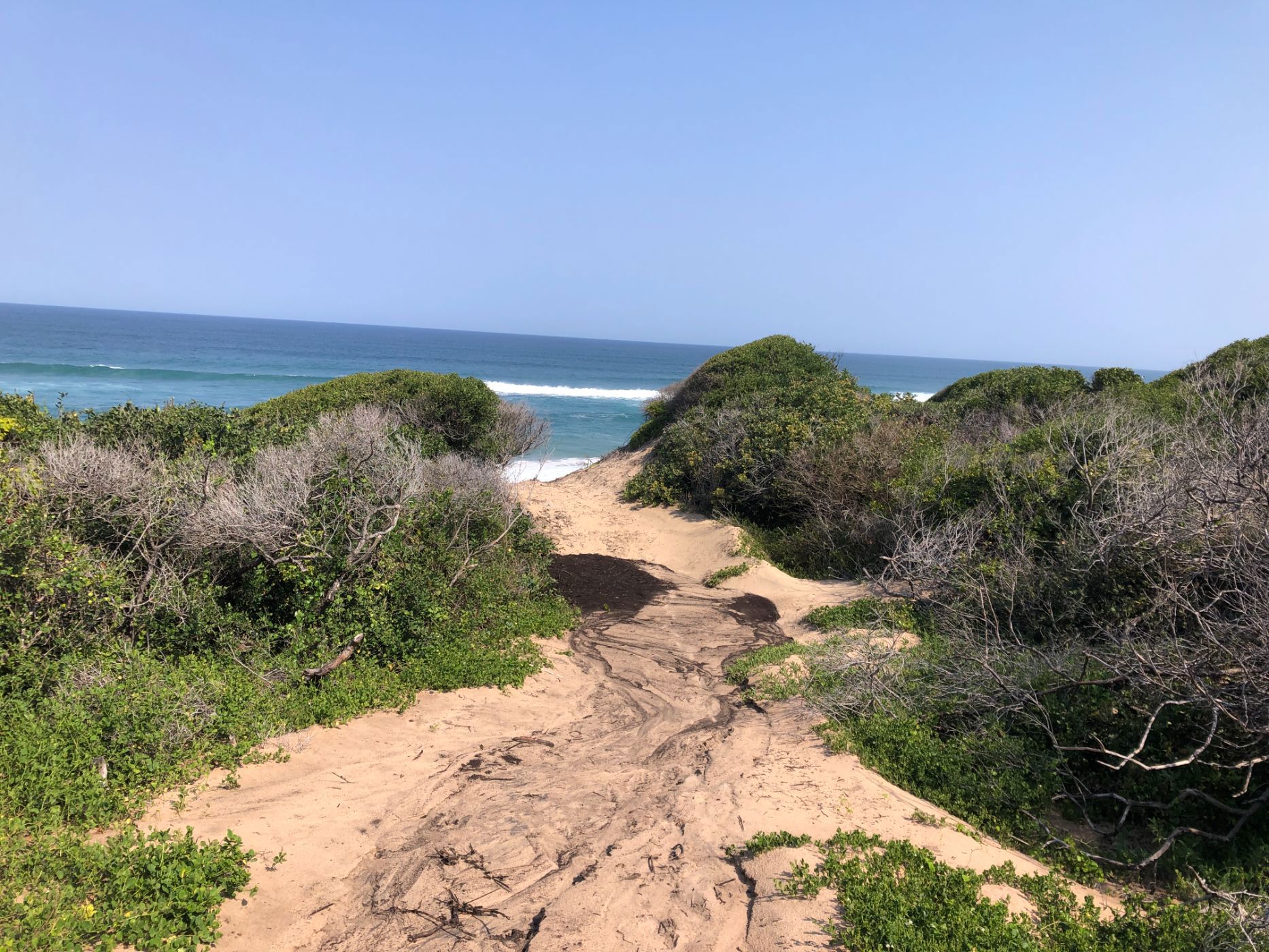 Vacant land for investment in Guinjata, Inhambane, Mozambique - 3MQ1627911