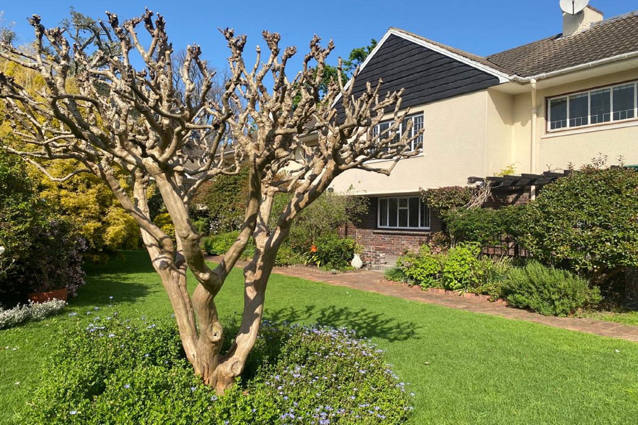 Apartment to rent in Newlands, Cape Town - RBL1712610