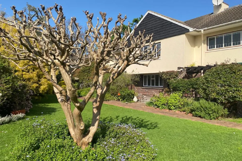 Apartment let in Newlands, Cape Town - RBL1712610