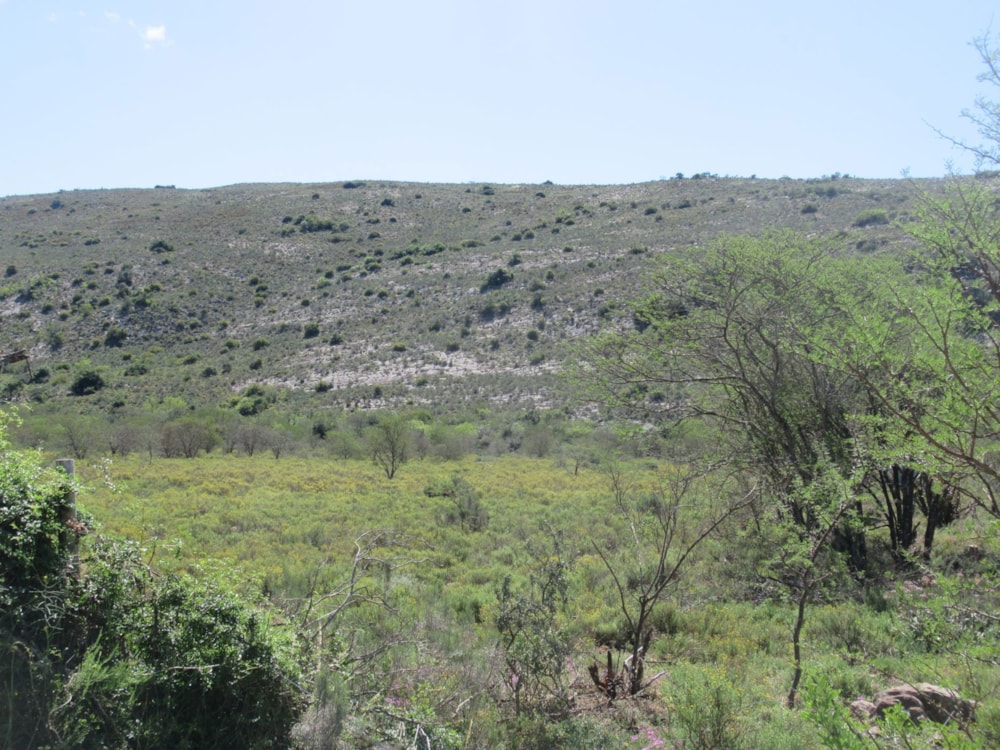 Farm vacant land sold in Riebeek East, Grahamstown, Makhanda - 1GC1628851 Farm vacant land sold in Riebeek East, Grahamstown, Makhanda - 1GC1628851