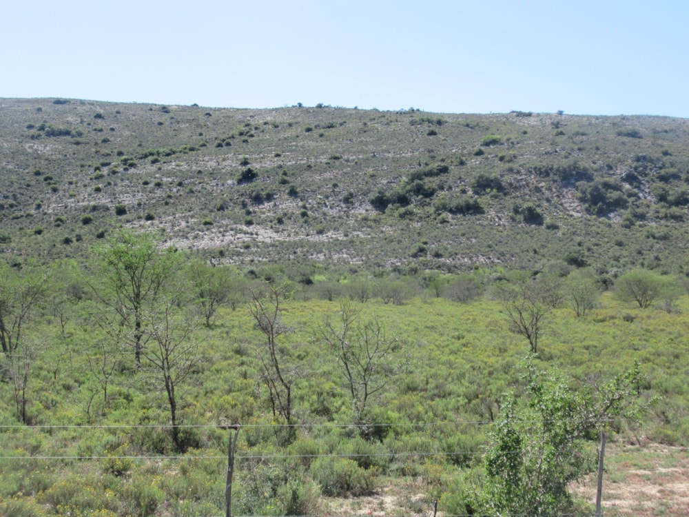 Farm vacant land sold in Riebeek East, Grahamstown, Makhanda - 1GC1628851 Farm vacant land sold in Riebeek East, Grahamstown, Makhanda - 1GC1628851