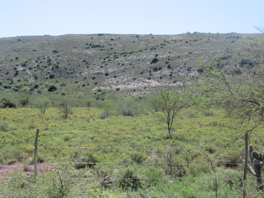 Farm vacant land sold in Riebeek East, Grahamstown, Makhanda - 1GC1628851 Farm vacant land sold in Riebeek East, Grahamstown, Makhanda - 1GC1628851