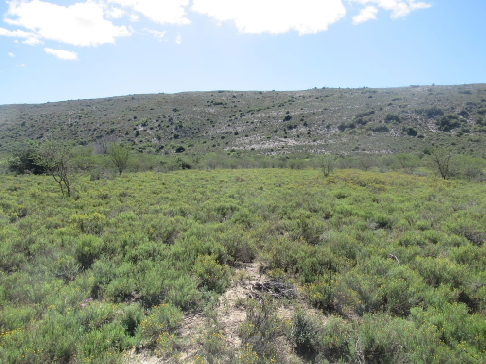 Farm vacant land sold in Riebeek East, Grahamstown, Makhanda - 1GC1628851 Farm vacant land sold in Riebeek East, Grahamstown, Makhanda - 1GC1628851
