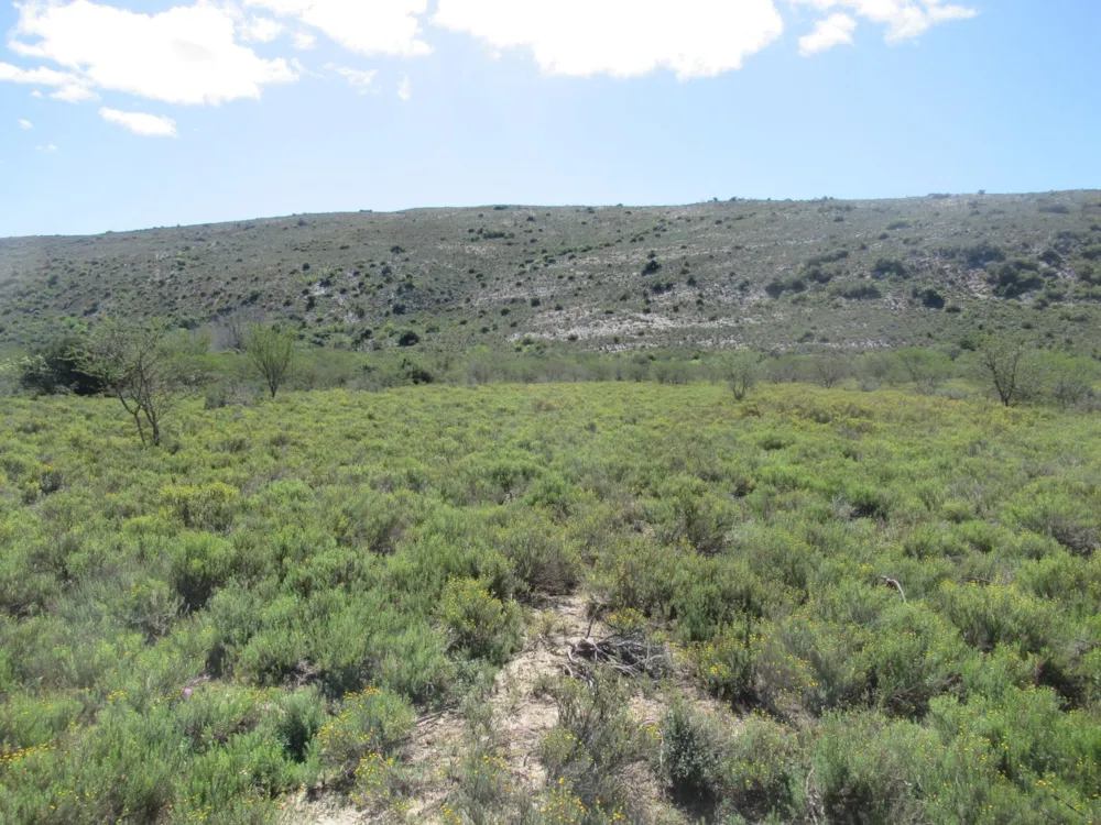 Farm vacant land for sale in Riebeek East, Grahamstown, Makhanda - 1GC1731381 Farm vacant land for sale in Riebeek East, Grahamstown, Makhanda - 1GC1731381