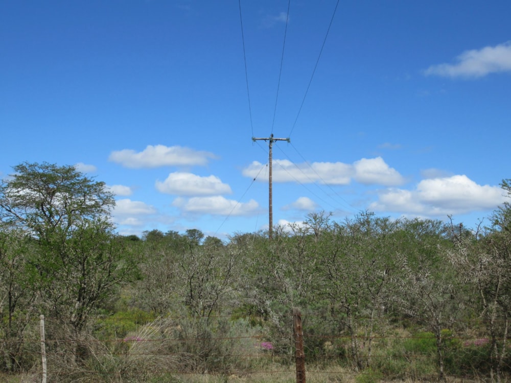 Farm vacant land for sale in Riebeek East, Grahamstown, Makhanda - 1GC1628797