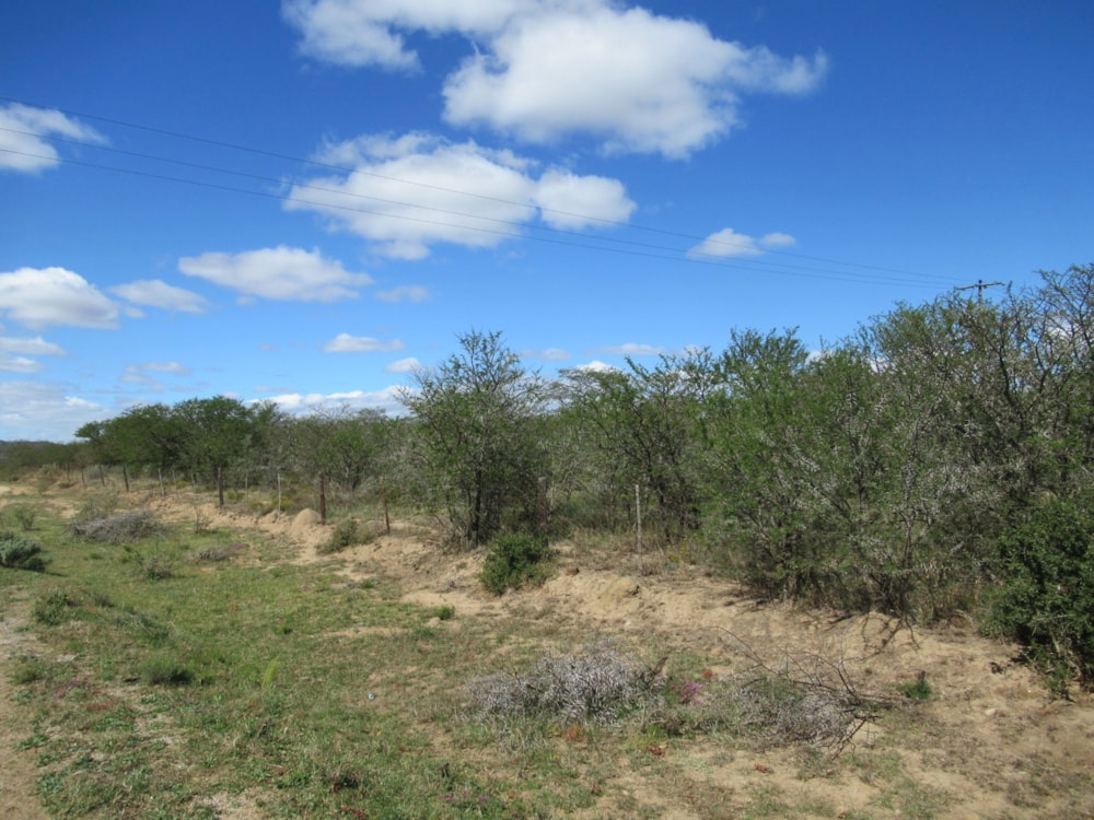 Farm vacant land for sale in Riebeek East, Grahamstown, Makhanda - 1GC1628797