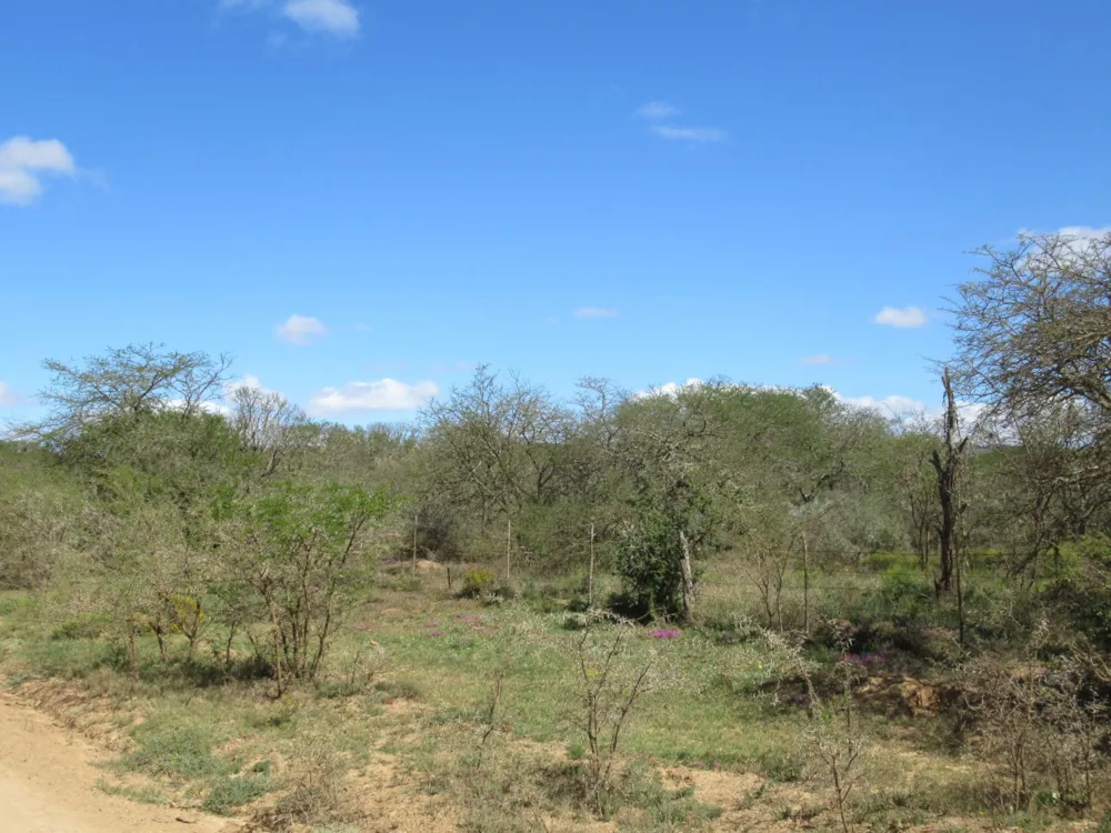 Farm vacant land for sale in Riebeek East, Grahamstown, Makhanda - 1GC1628797