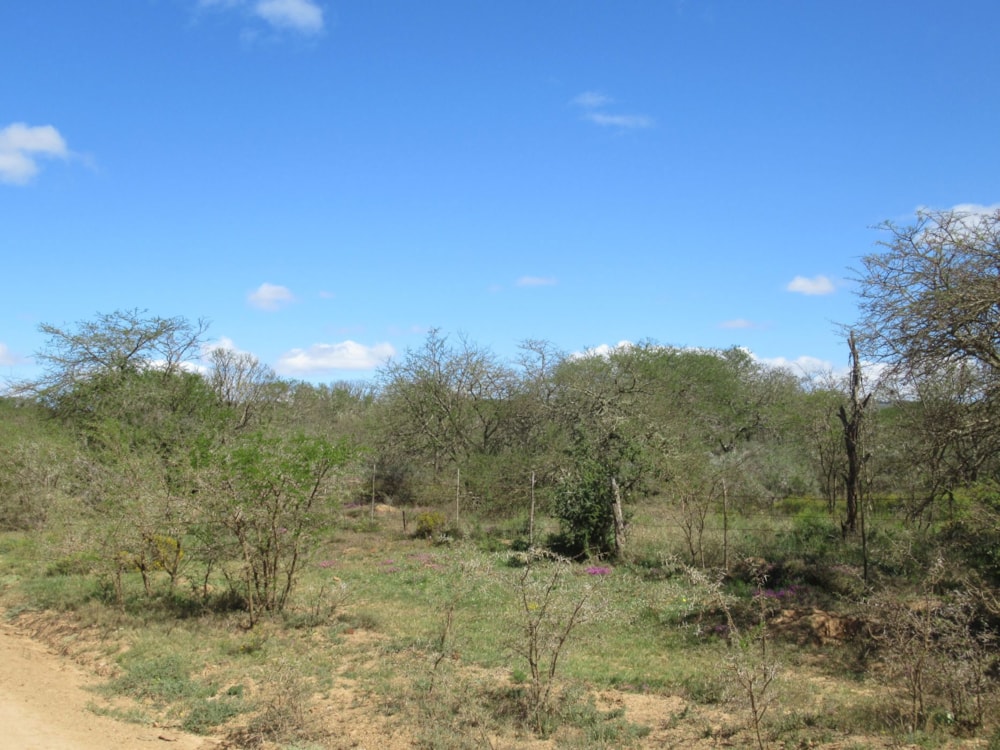 Farm vacant land for sale in Riebeek East, Grahamstown, Makhanda - 1GC1628797