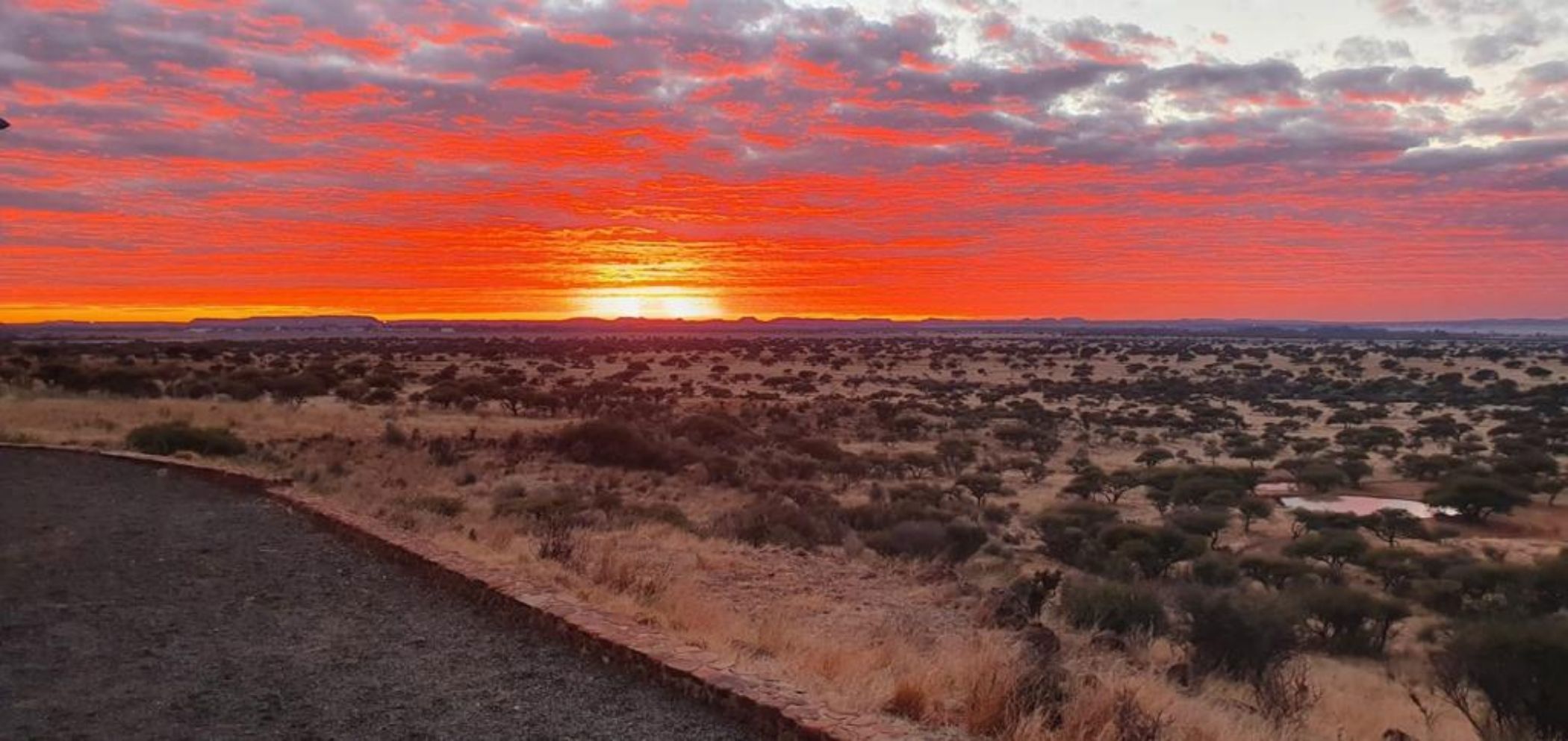 Game farm for sale in Kimberley - 1KJ1628912