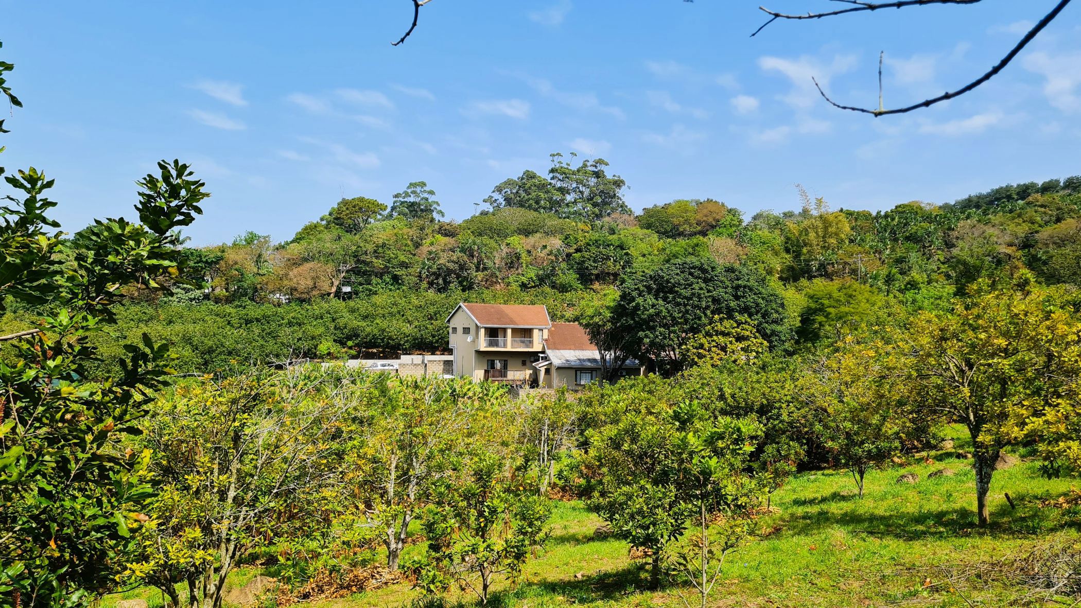 Smallholding for sale in Banners Rest - 1PD1629380