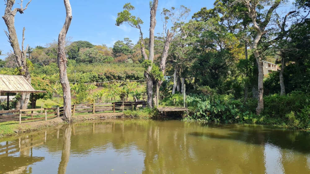 Smallholding for sale in Banners Rest - 1PD1629380 Smallholding for sale in Banners Rest - 1PD1629380