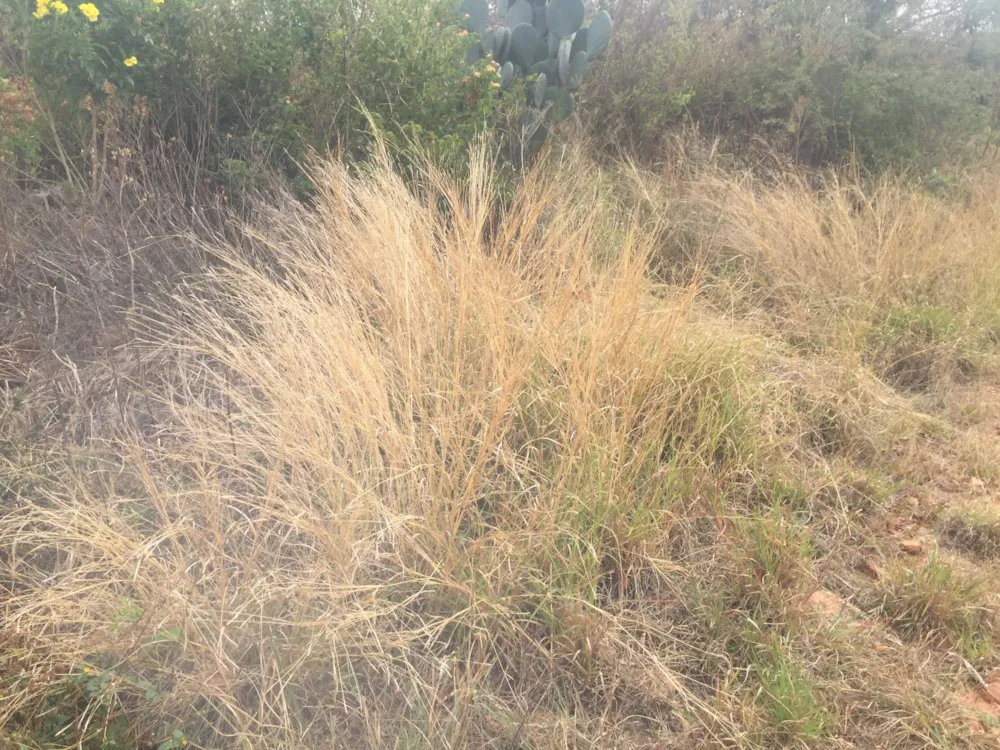 Vacant land for sale in Ohrigstad - 1LY1629914
