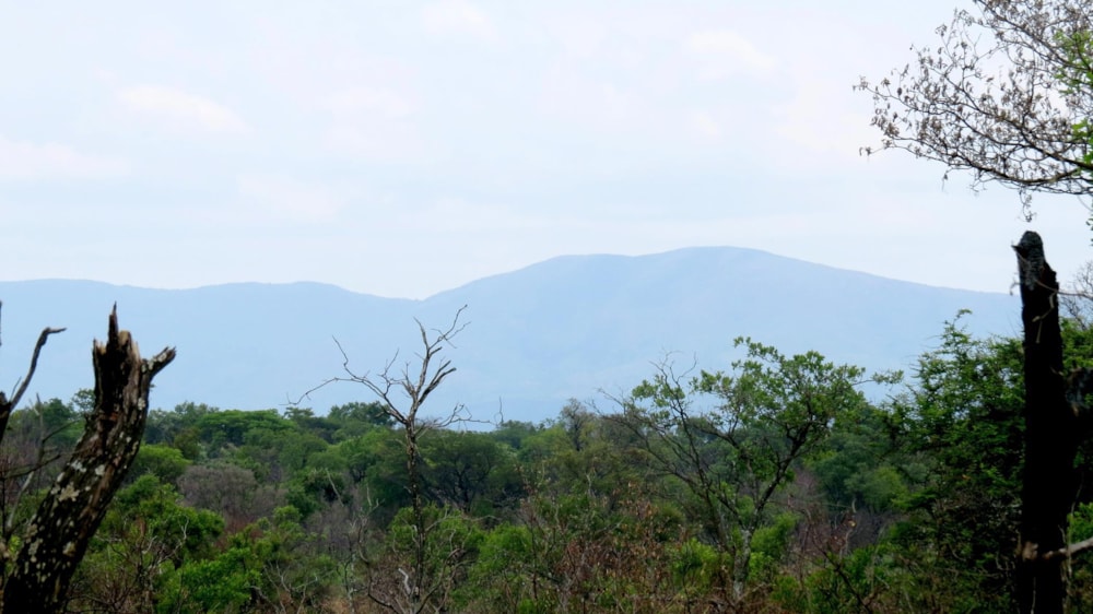 Vacant land for sale in Zebula Golf Estate - 1MDM1630207