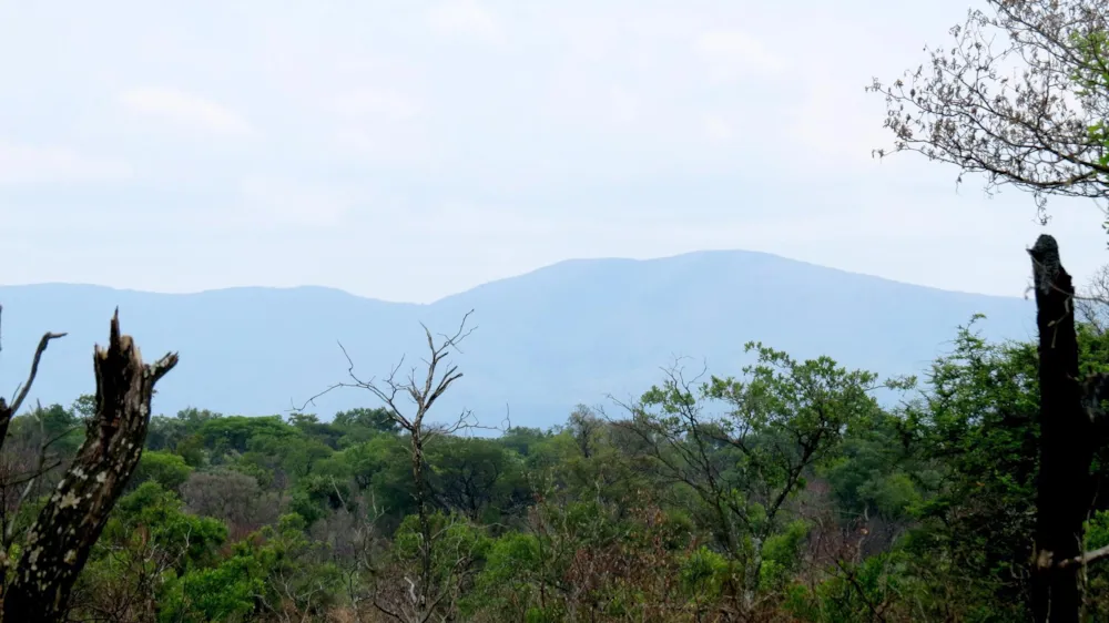 Vacant land for sale in Zebula Golf Estate - 1MDM1630207 Vacant land for sale in Zebula Golf Estate - 1MDM1630207