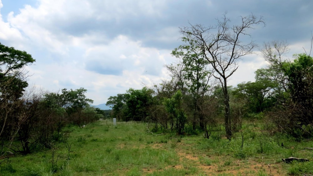 Vacant land for sale in Zebula Golf Estate - 1MDM1630207