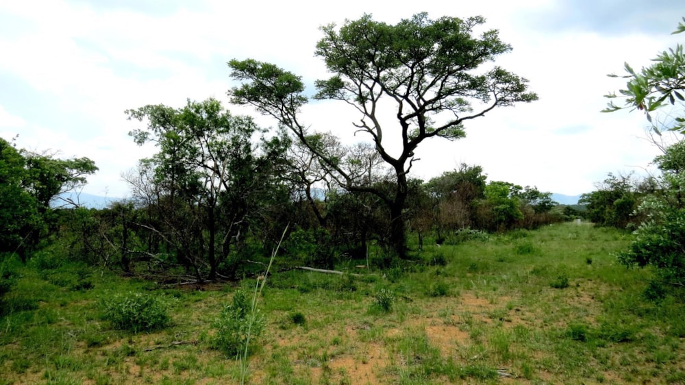Vacant land for sale in Zebula Golf Estate - 1MDM1630207