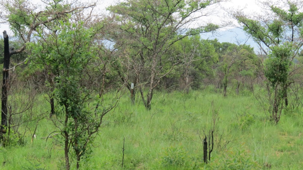 Vacant land for sale in Zebula Golf Estate - 1MDM1630207