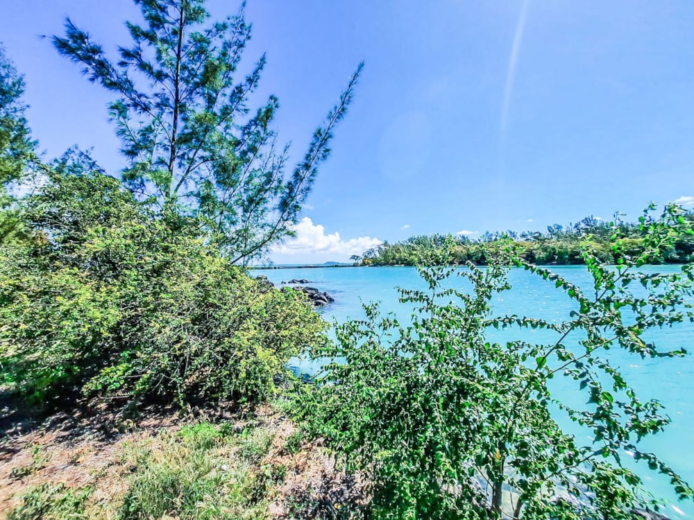 Beachfront villa for sale in Calodyne, Mauritius - MPR1630702