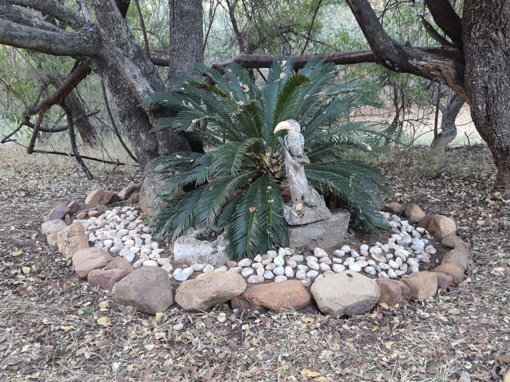 Security estate home for sale in Mabalingwe Nature Reserve - 1MDM1630828 Security estate home for sale in Mabalingwe Nature Reserve - 1MDM1630828