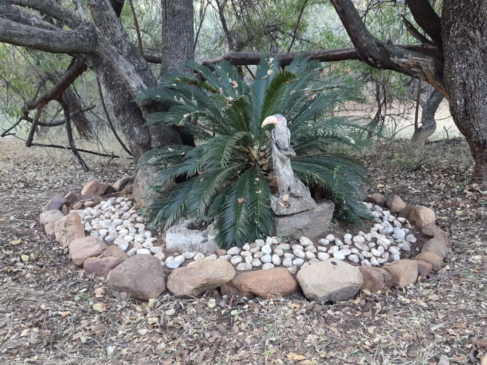 Security estate home for sale in Mabalingwe Nature Reserve - 1MDM1630828 Security estate home for sale in Mabalingwe Nature Reserve - 1MDM1630828