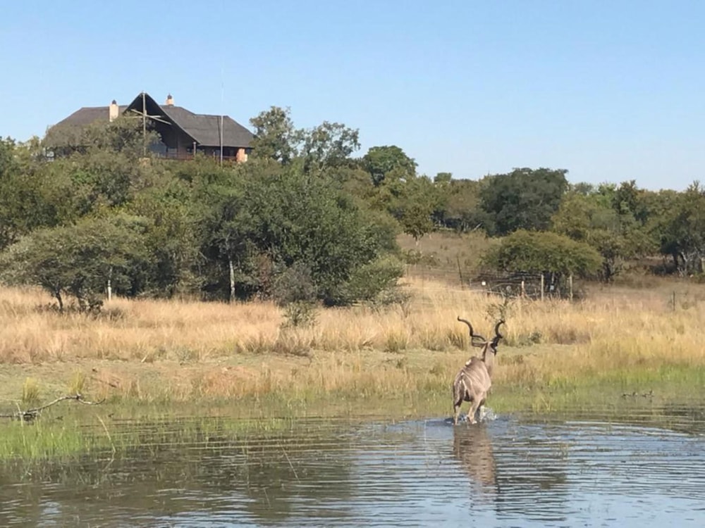 Game lodge for sale in Dinokeng - PTM1630832 Game lodge for sale in Dinokeng - PTM1630832