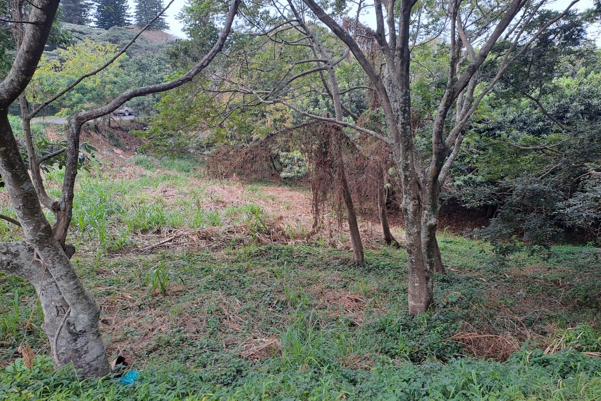 Vacant land for sale in Amanzimtoti - 1WB1539680