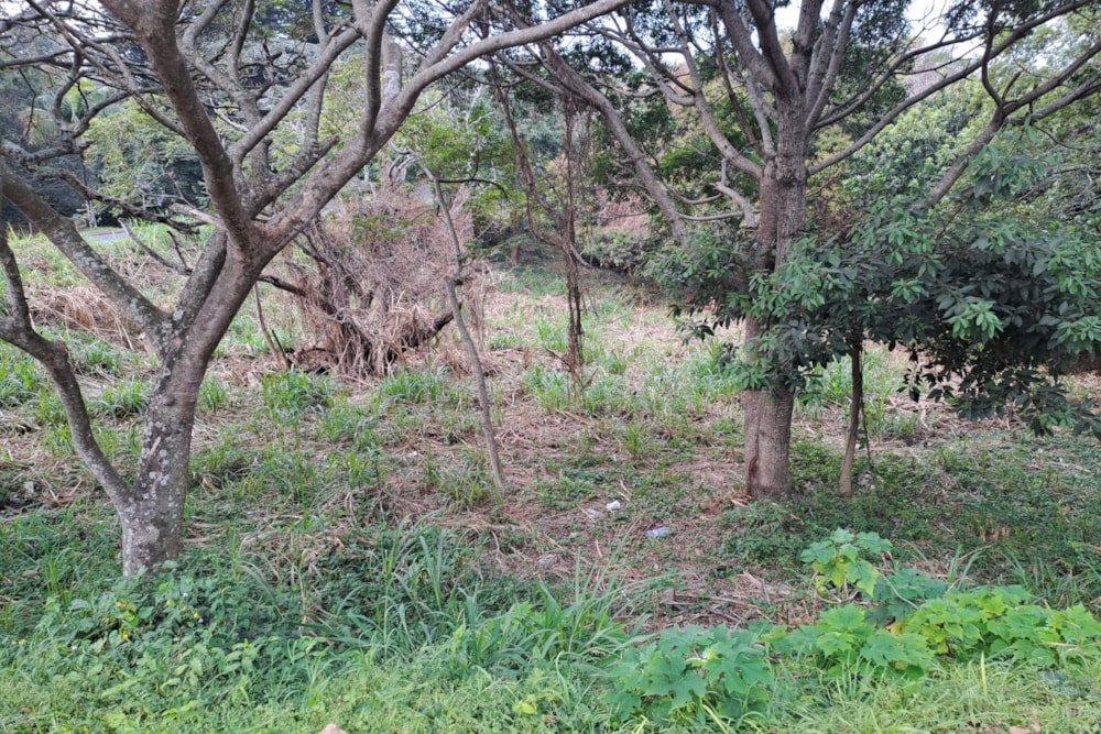 Vacant land for sale in Amanzimtoti - 1WB1539680