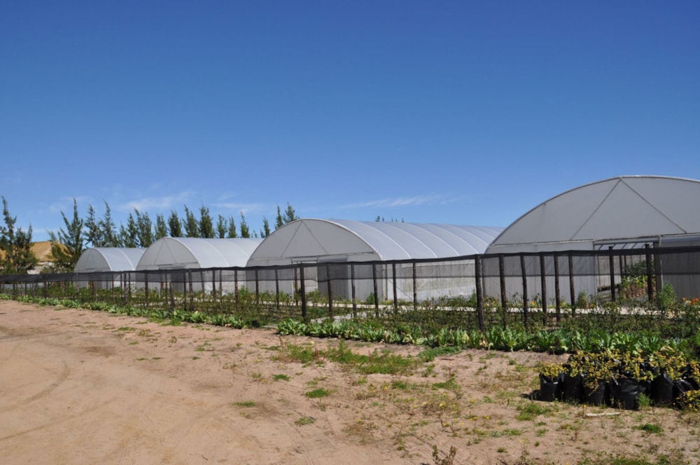 Mixed use farm for sale in Dwarskersbos - LA1617262