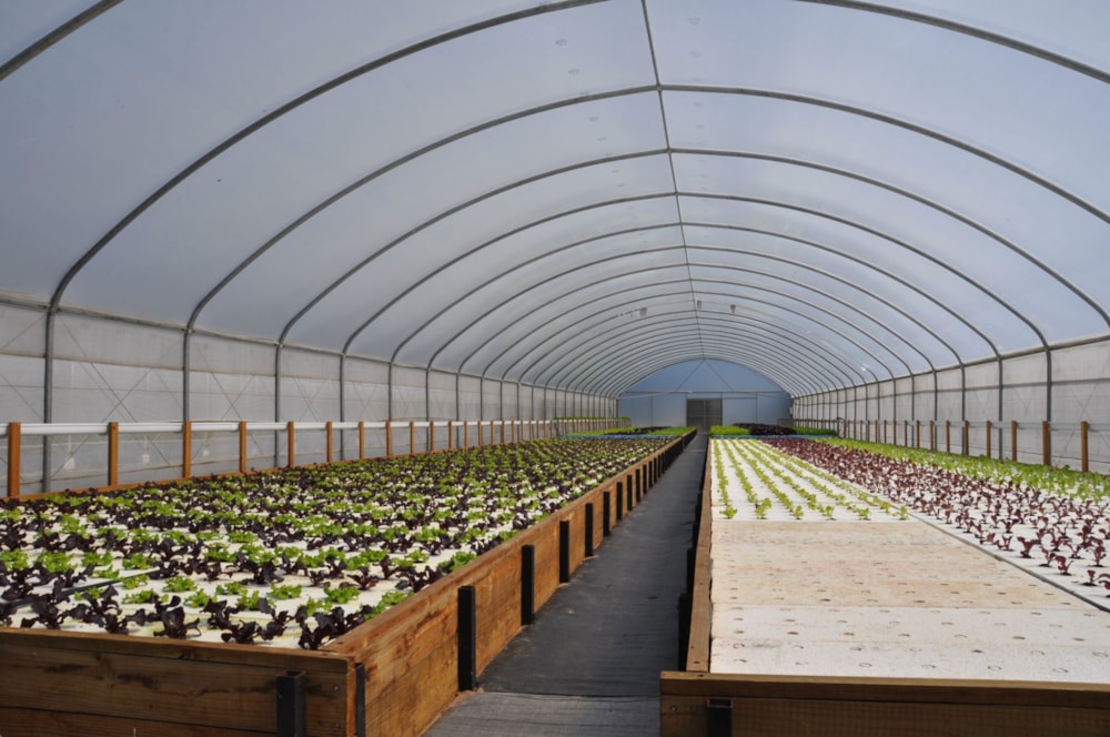 Mixed use farm for sale in Dwarskersbos - LA1617262