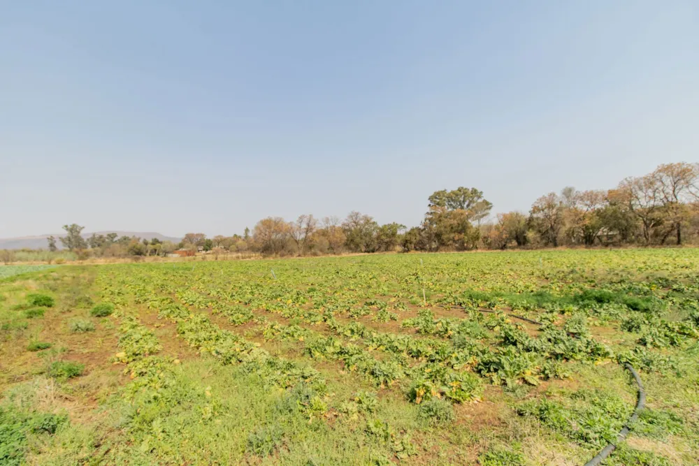 Smallholding for sale in Skeerpoort - 1HR1628767
