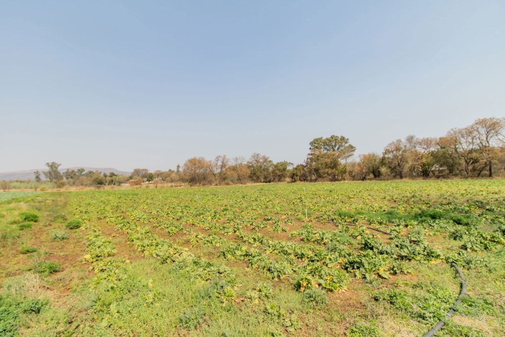 Smallholding for sale in Skeerpoort - 1HR1628767 Smallholding for sale in Skeerpoort - 1HR1628767