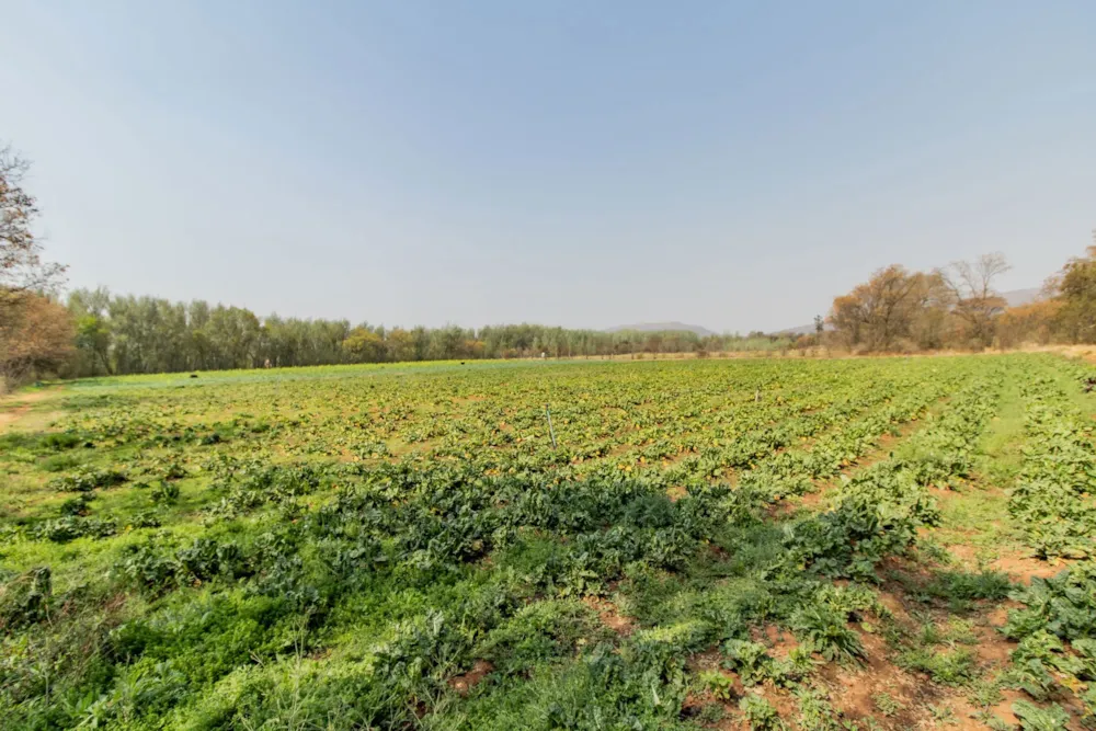 Smallholding for sale in Skeerpoort - 1HR1628767