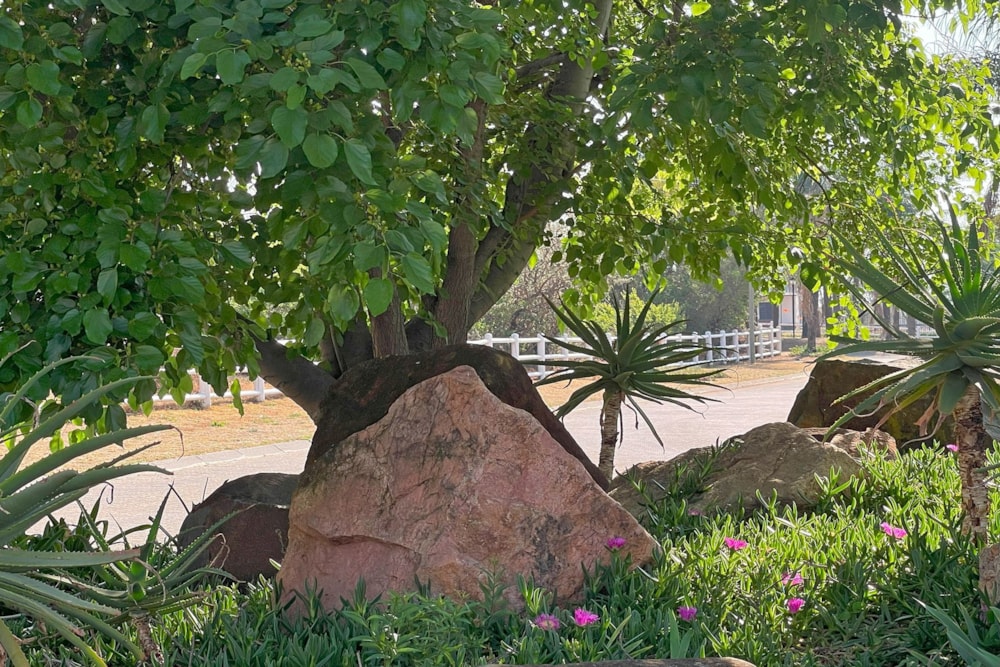 Vacant land for sale in Beaulieu - MR1630602 Vacant land for sale in Beaulieu - MR1630602