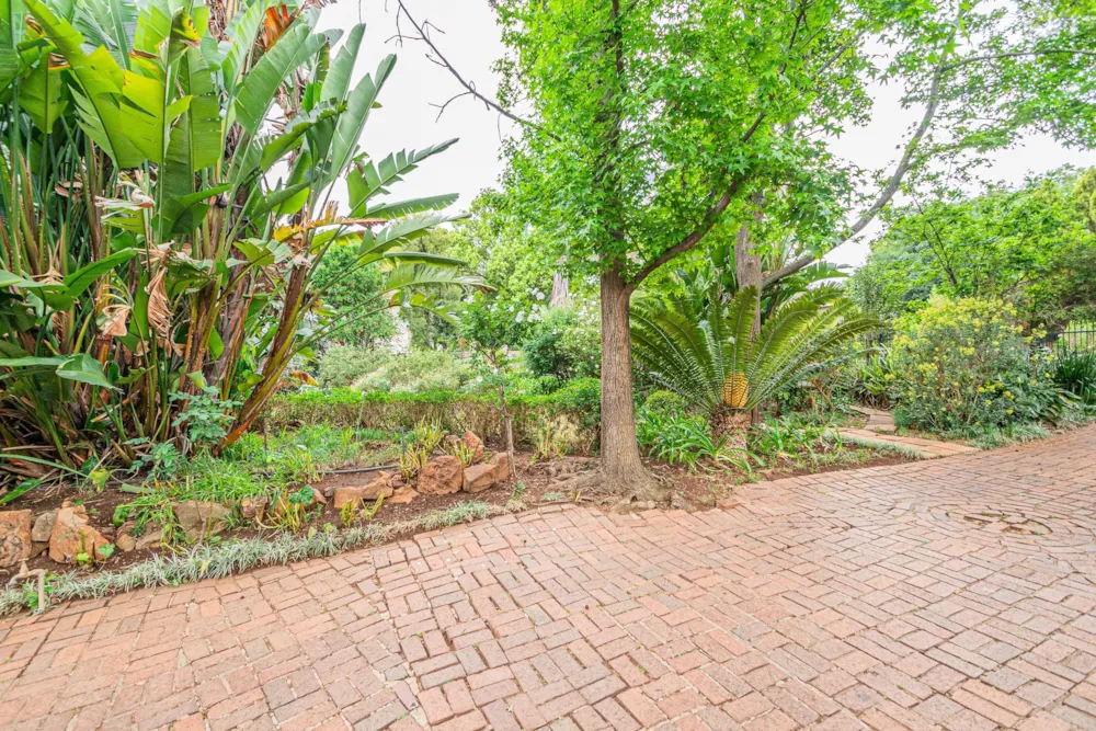 House to rent in Lynnwood, Pretoria East - PTL1751929