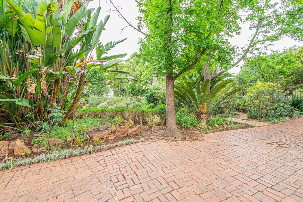 House to rent in Lynnwood, Pretoria East - PTL1751929 House to rent in Lynnwood, Pretoria East - PTL1751929