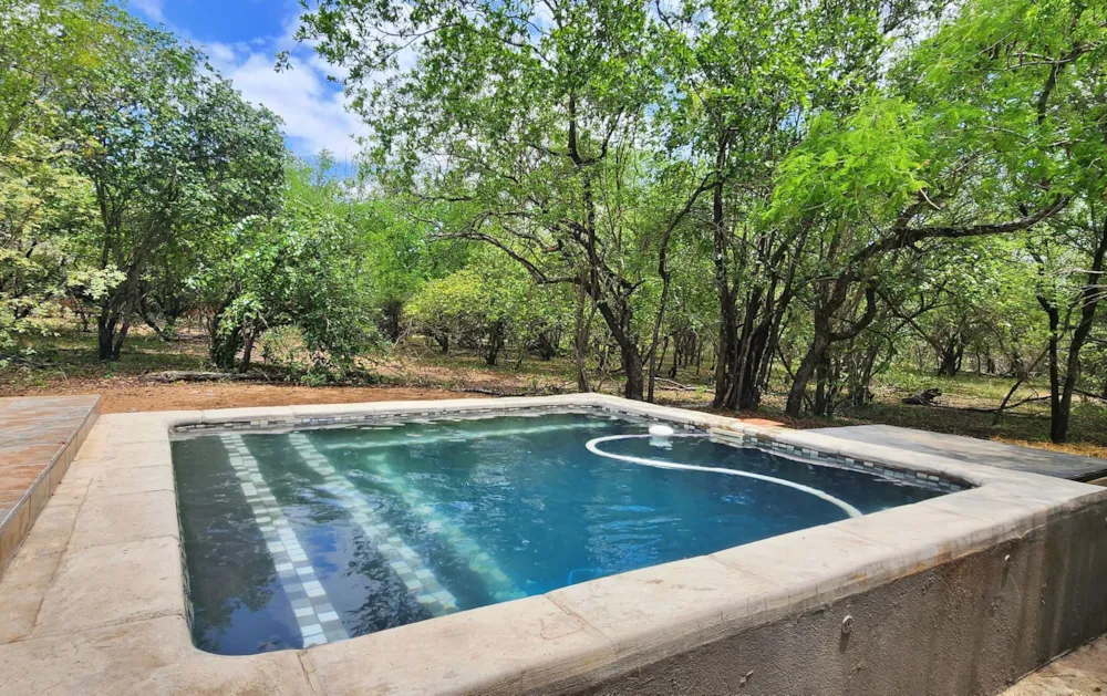 House to rent in Marloth Park - 1NK1634469 House to rent in Marloth Park - 1NK1634469