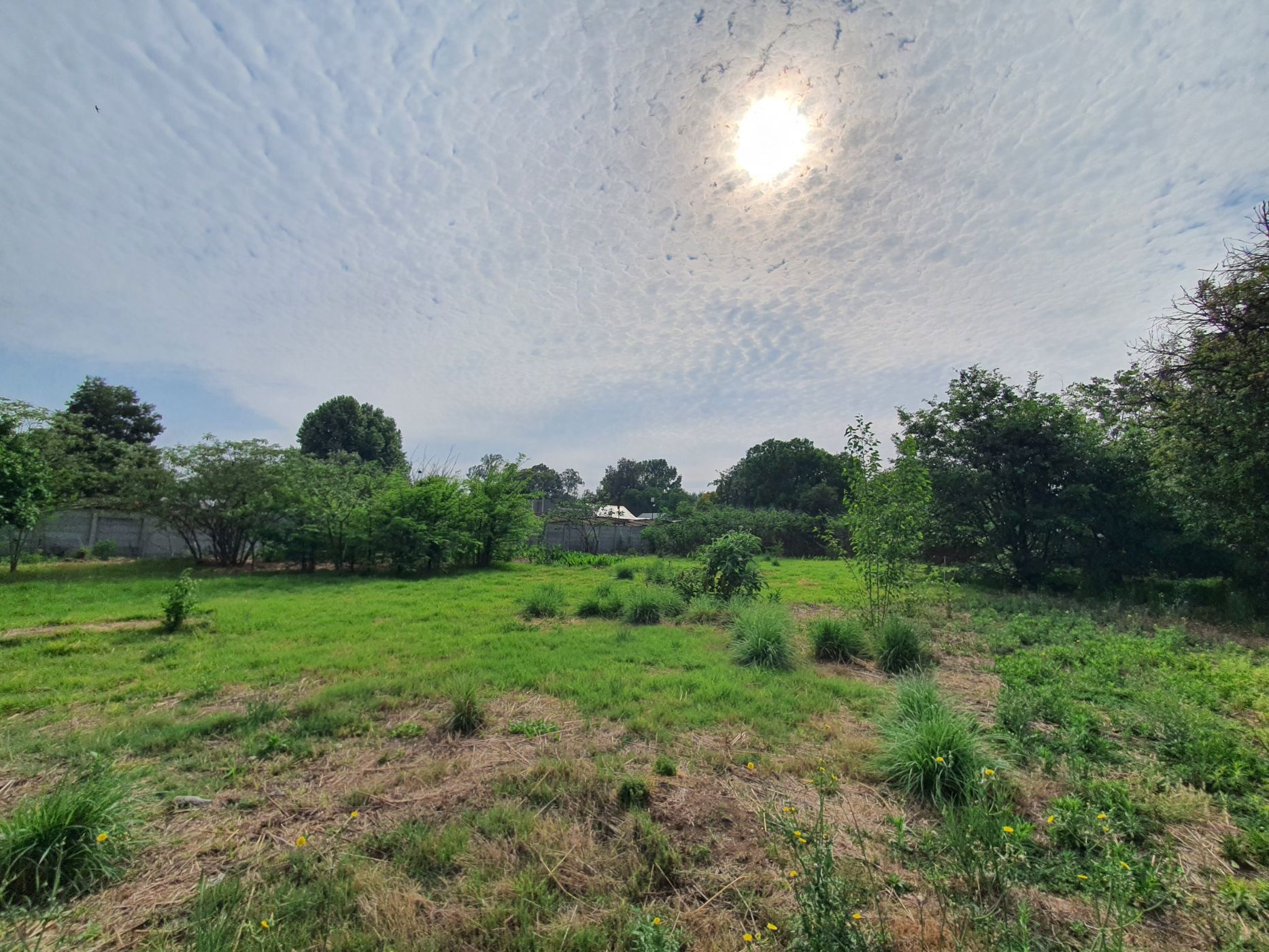 Residential vacant land for sale in Lydenburg (Mashishing) - 1LY1571297