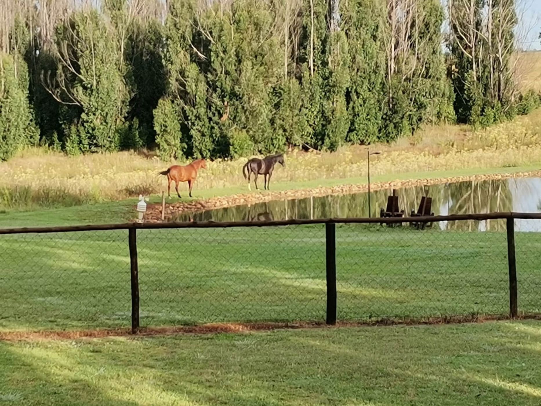 House for sale in Belfast Rural - 1DS1581868