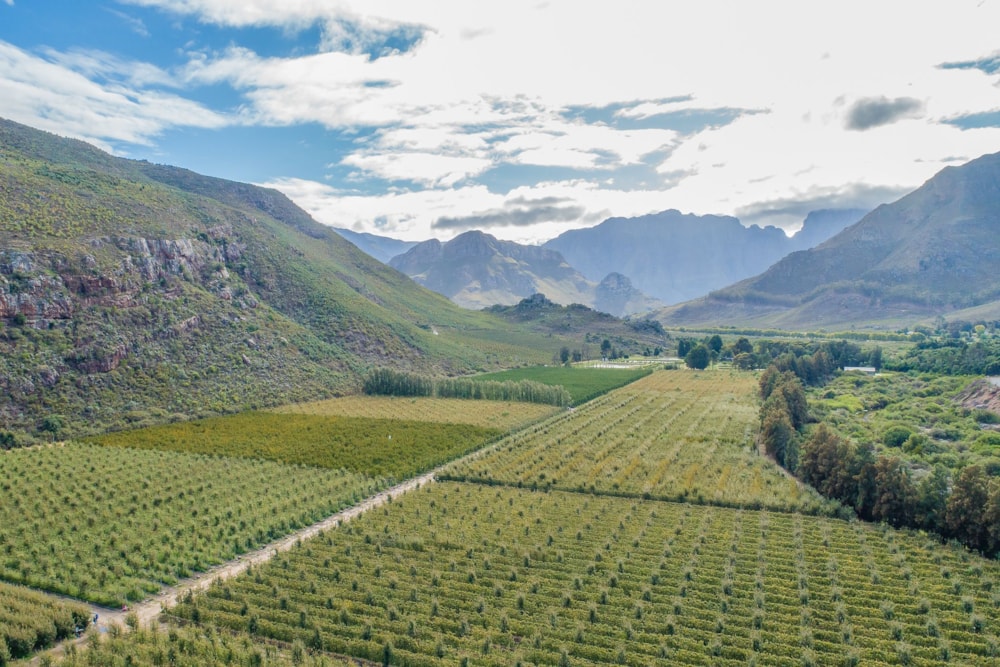 Fruit farm for sale in Franschhoek Rural - FWI1614621