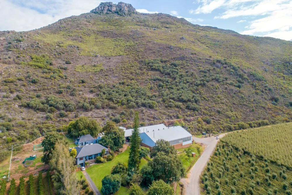 Fruit farm for sale in Franschhoek Rural - FWI1614621 Fruit farm for sale in Franschhoek Rural - FWI1614621