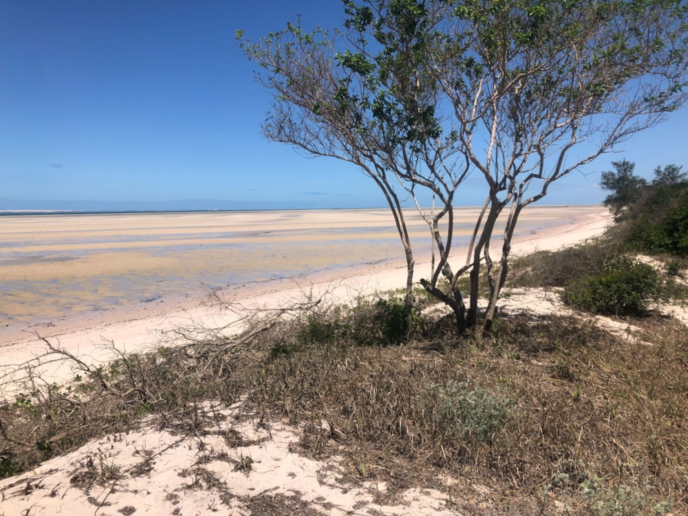 Vacant land for investment in Inhassoro, Mozambique - 3MQ1618408