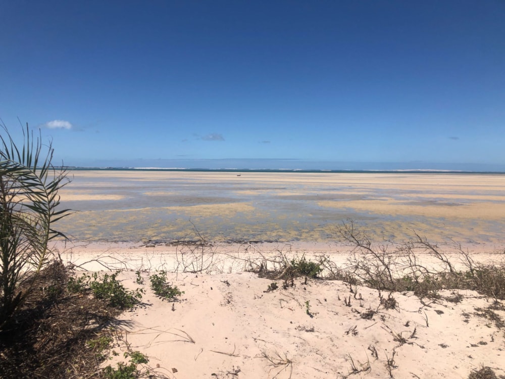 Vacant land for investment in Inhassoro, Mozambique - 3MQ1618408