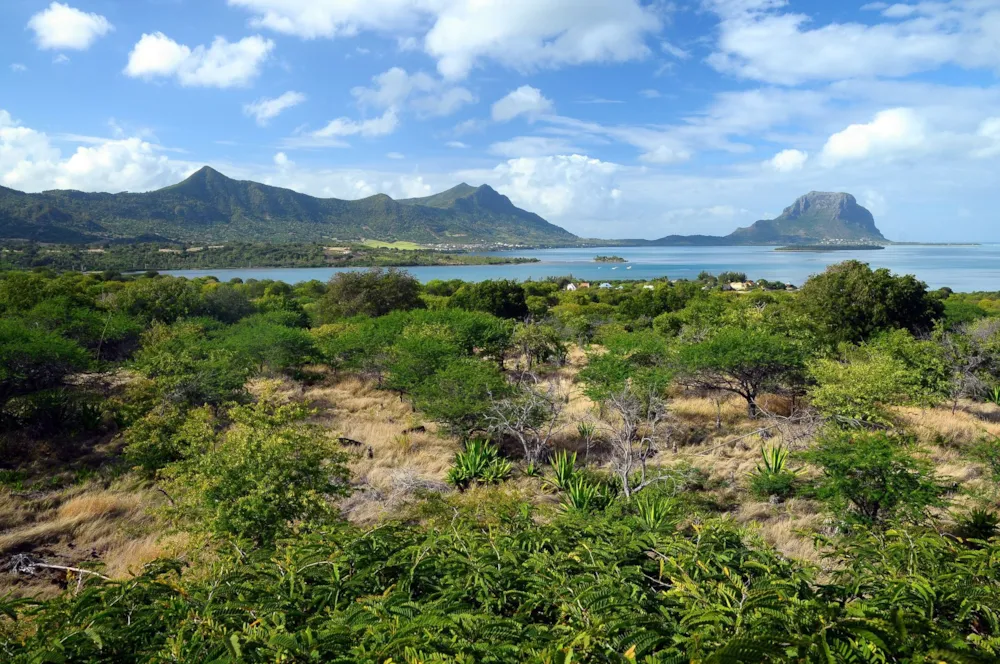 Residential vacant land for sale in Petite Riviere Noire, Mauritius - MUR1619781 Residential vacant land for sale in Petite Riviere Noire, Mauritius - MUR1619781
