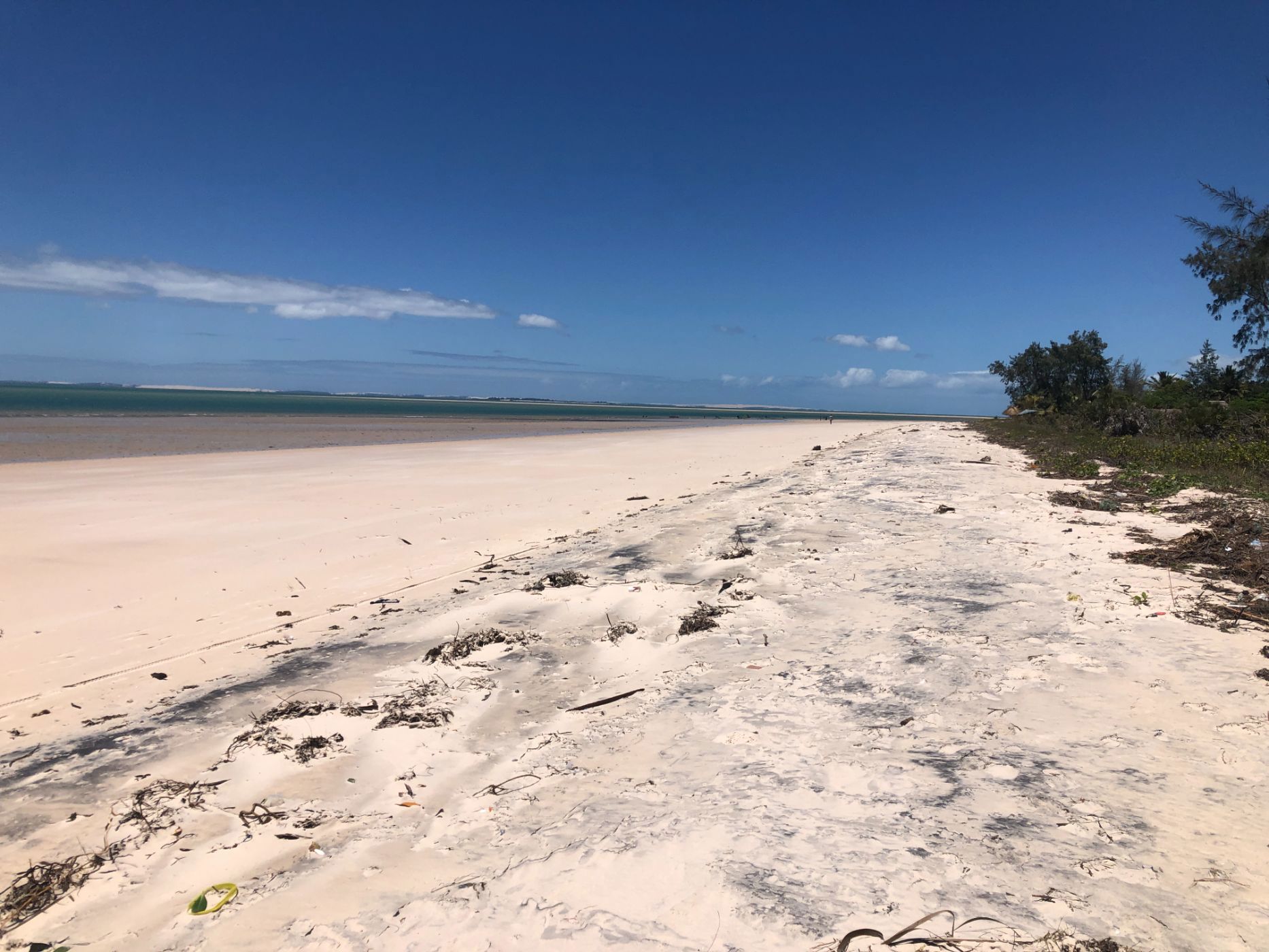 Vacant land for investment in Inhassoro, Mozambique - 3MQ1626246